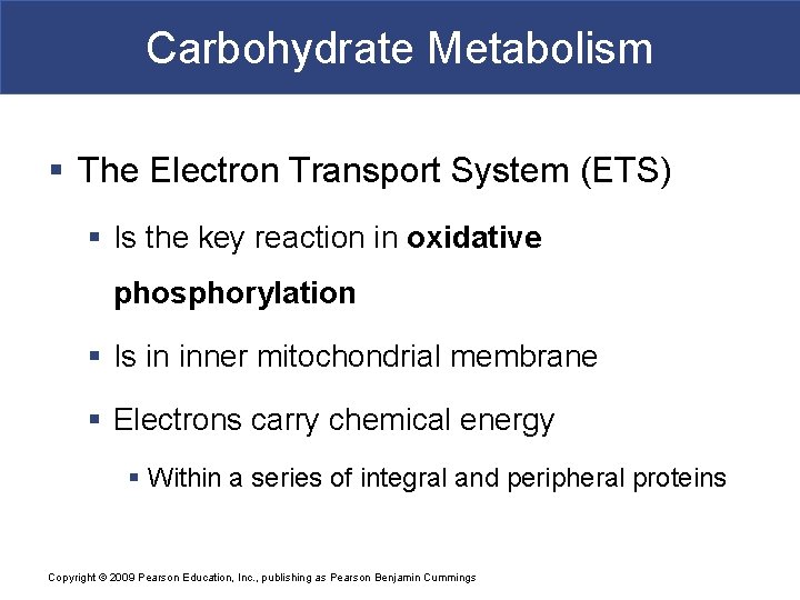 Carbohydrate Metabolism § The Electron Transport System (ETS) § Is the key reaction in