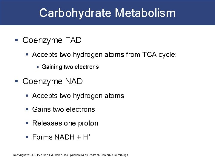 Carbohydrate Metabolism § Coenzyme FAD § Accepts two hydrogen atoms from TCA cycle: §