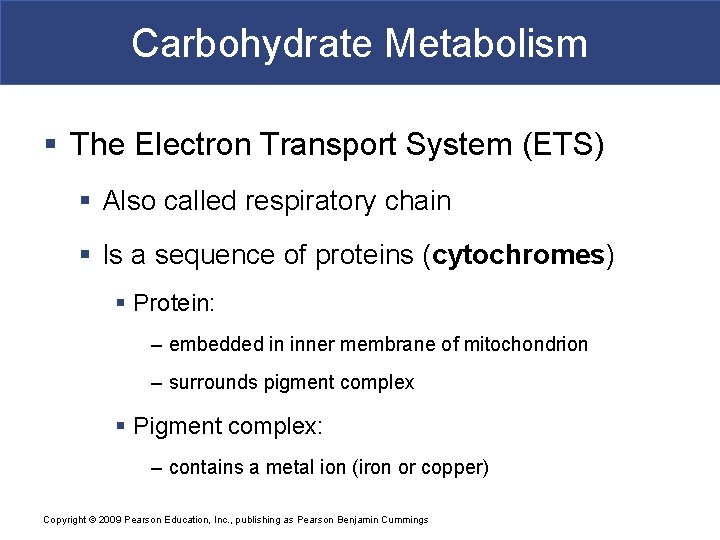 Carbohydrate Metabolism § The Electron Transport System (ETS) § Also called respiratory chain §