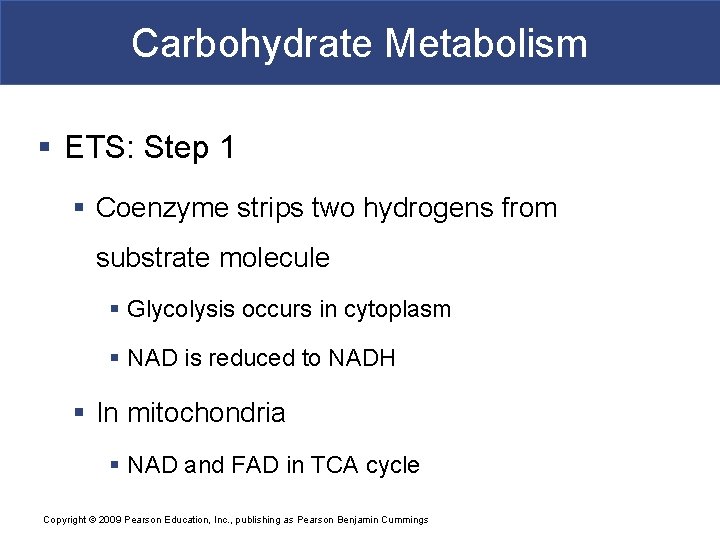 Carbohydrate Metabolism § ETS: Step 1 § Coenzyme strips two hydrogens from substrate molecule