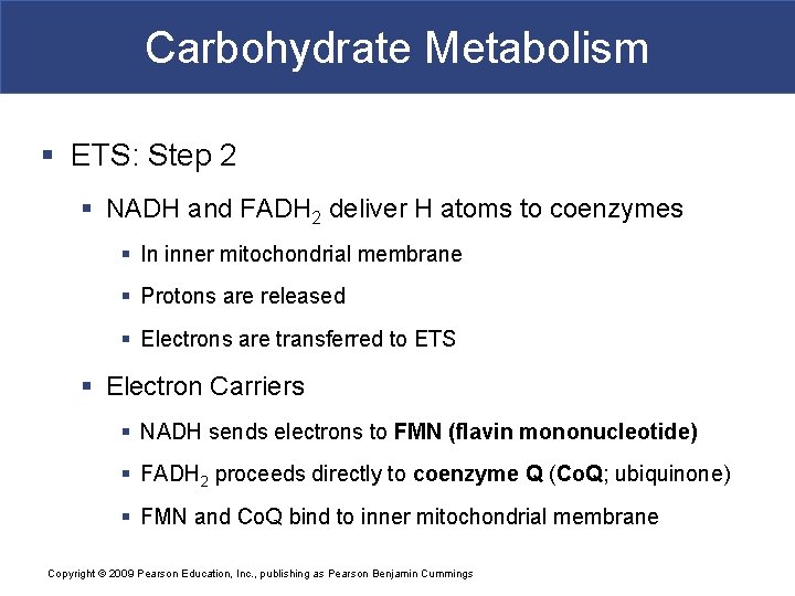 Carbohydrate Metabolism § ETS: Step 2 § NADH and FADH 2 deliver H atoms