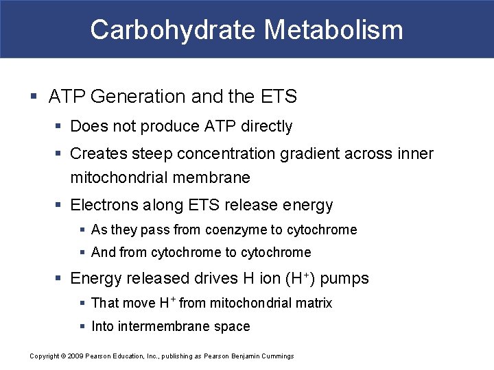 Carbohydrate Metabolism § ATP Generation and the ETS § Does not produce ATP directly