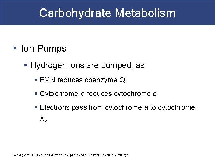 Carbohydrate Metabolism § Ion Pumps § Hydrogen ions are pumped, as § FMN reduces