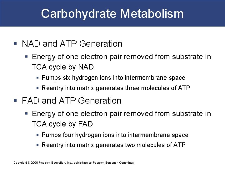 Carbohydrate Metabolism § NAD and ATP Generation § Energy of one electron pair removed