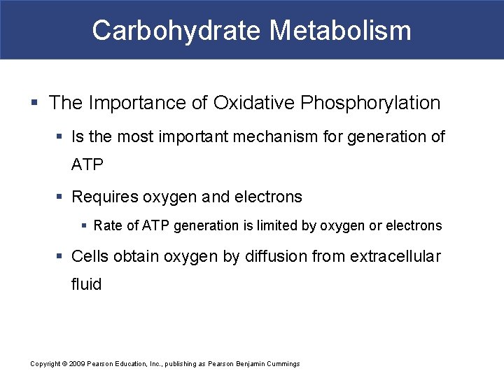 Carbohydrate Metabolism § The Importance of Oxidative Phosphorylation § Is the most important mechanism