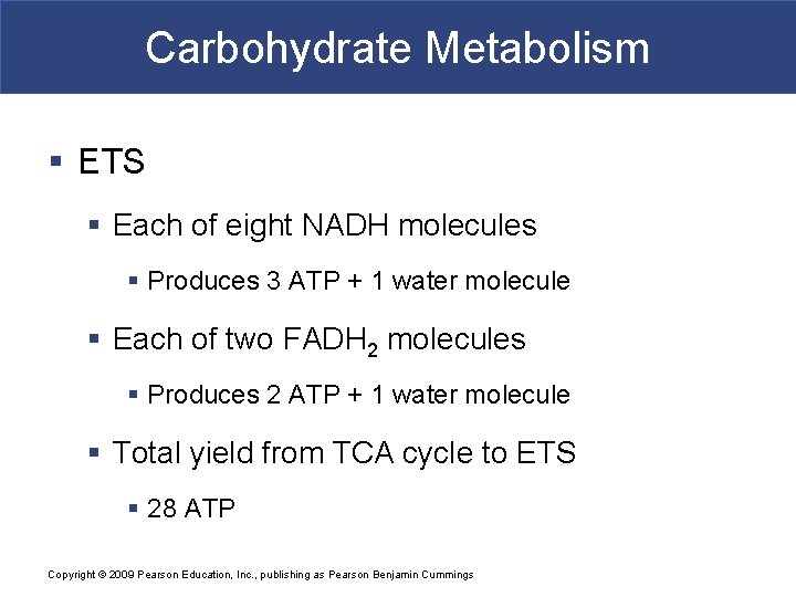 Carbohydrate Metabolism § ETS § Each of eight NADH molecules § Produces 3 ATP