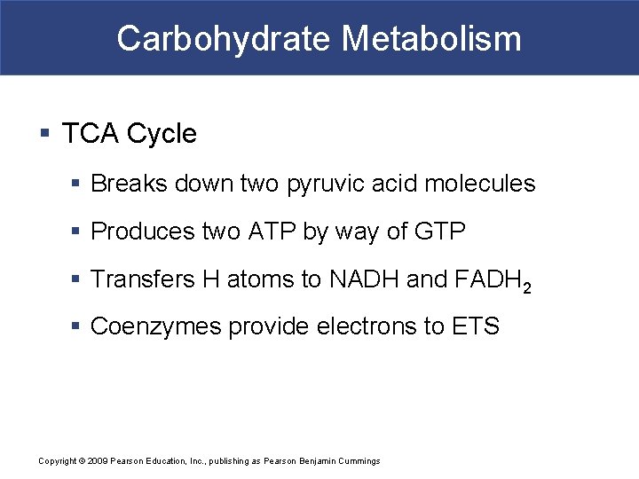 Carbohydrate Metabolism § TCA Cycle § Breaks down two pyruvic acid molecules § Produces