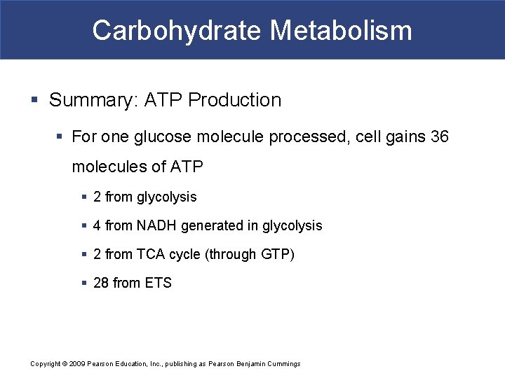 Carbohydrate Metabolism § Summary: ATP Production § For one glucose molecule processed, cell gains