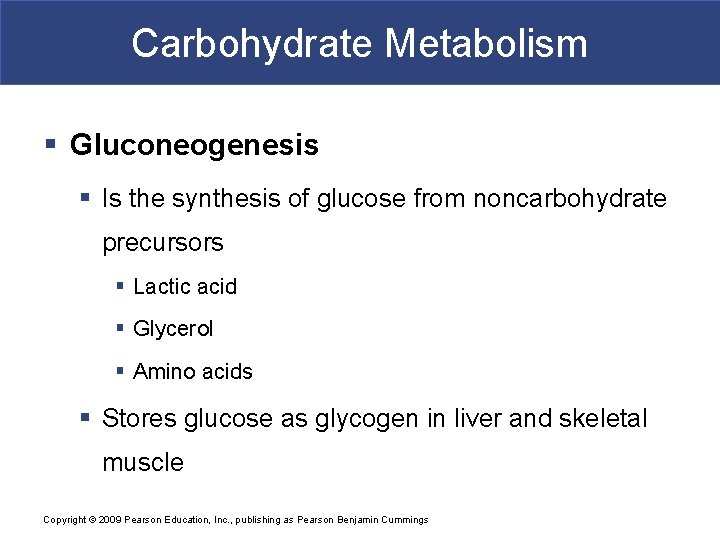 Carbohydrate Metabolism § Gluconeogenesis § Is the synthesis of glucose from noncarbohydrate precursors §