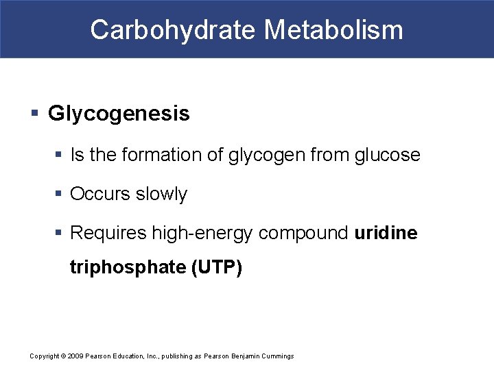 Carbohydrate Metabolism § Glycogenesis § Is the formation of glycogen from glucose § Occurs