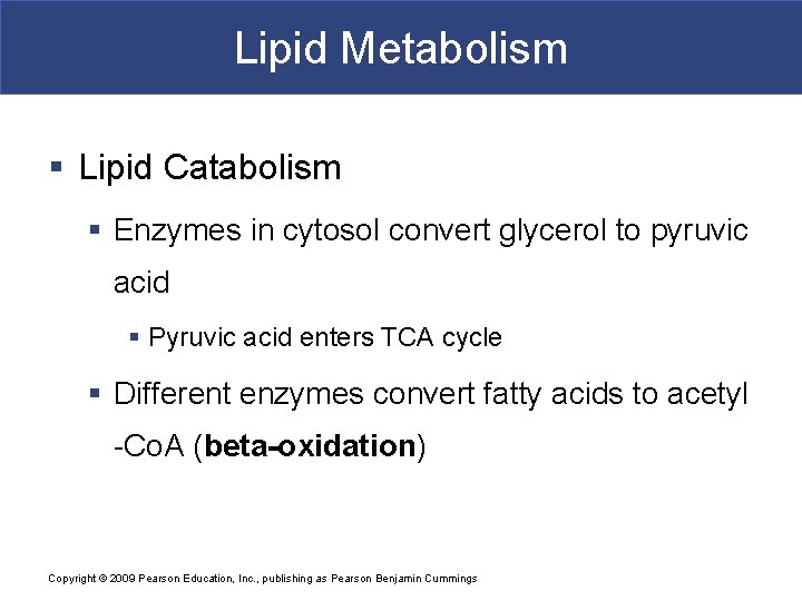 Lipid Metabolism § Lipid Catabolism § Enzymes in cytosol convert glycerol to pyruvic acid