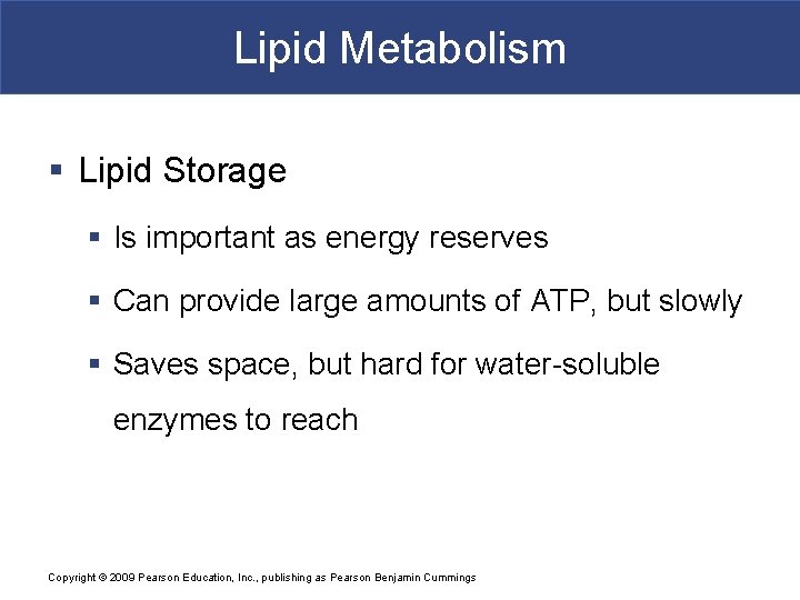 Lipid Metabolism § Lipid Storage § Is important as energy reserves § Can provide