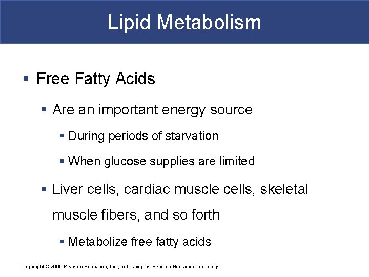 Lipid Metabolism § Free Fatty Acids § Are an important energy source § During