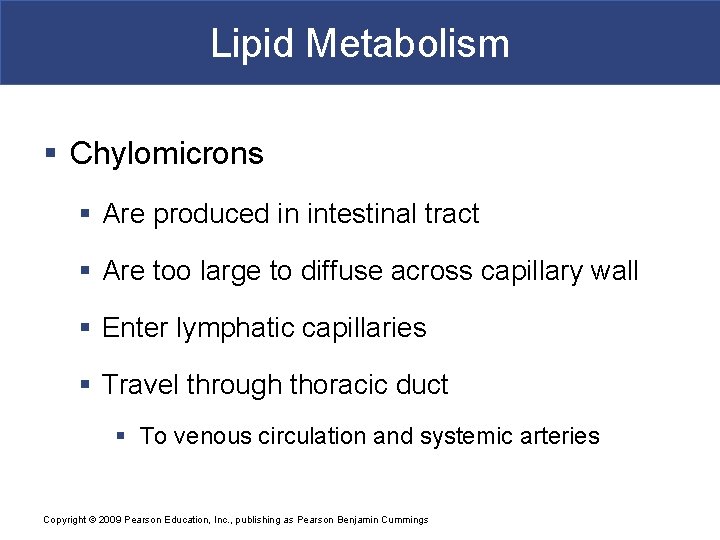 Lipid Metabolism § Chylomicrons § Are produced in intestinal tract § Are too large