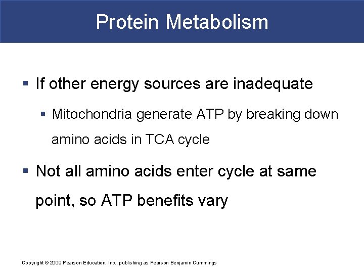Protein Metabolism § If other energy sources are inadequate § Mitochondria generate ATP by