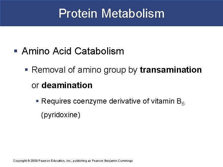 Protein Metabolism § Amino Acid Catabolism § Removal of amino group by transamination or