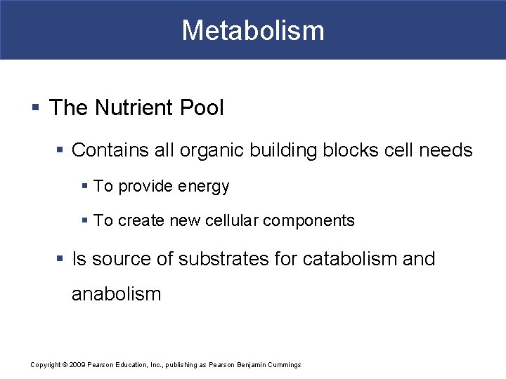 Metabolism § The Nutrient Pool § Contains all organic building blocks cell needs §