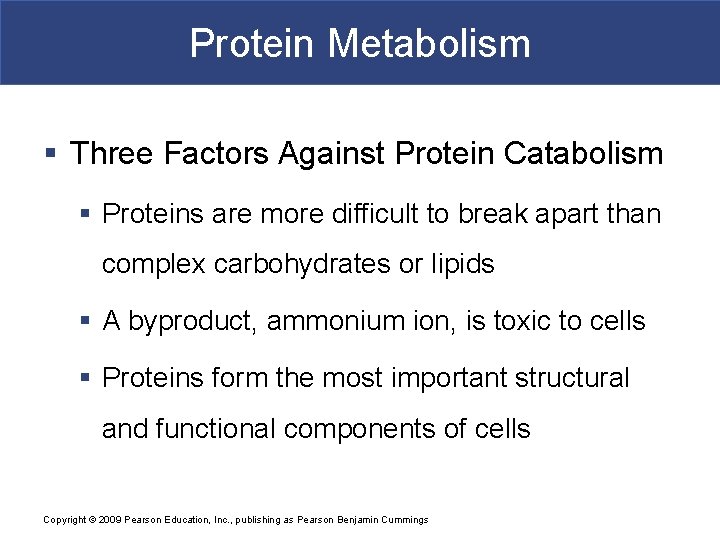 Protein Metabolism § Three Factors Against Protein Catabolism § Proteins are more difficult to