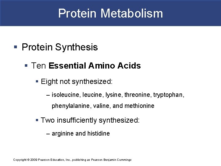 Protein Metabolism § Protein Synthesis § Ten Essential Amino Acids § Eight not synthesized: