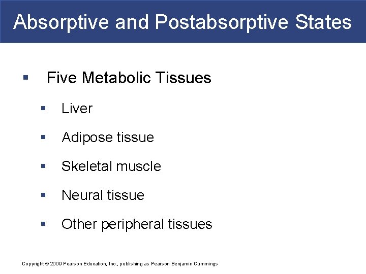 Absorptive and Postabsorptive States § Five Metabolic Tissues § Liver § Adipose tissue §
