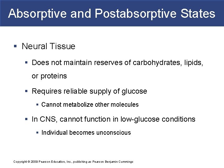 Absorptive and Postabsorptive States § Neural Tissue § Does not maintain reserves of carbohydrates,
