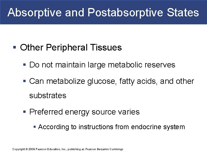 Absorptive and Postabsorptive States § Other Peripheral Tissues § Do not maintain large metabolic