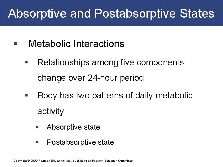 Absorptive and Postabsorptive States § Metabolic Interactions § Relationships among five components change over