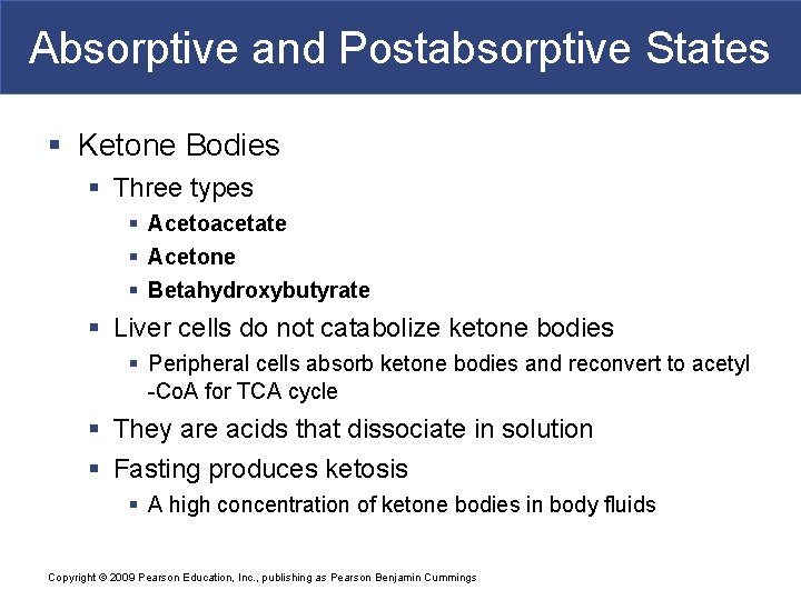 Absorptive and Postabsorptive States § Ketone Bodies § Three types § Acetoacetate § Acetone