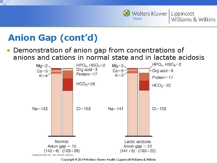 Anion Gap (cont’d) • Demonstration of anion gap from concentrations of anions and cations