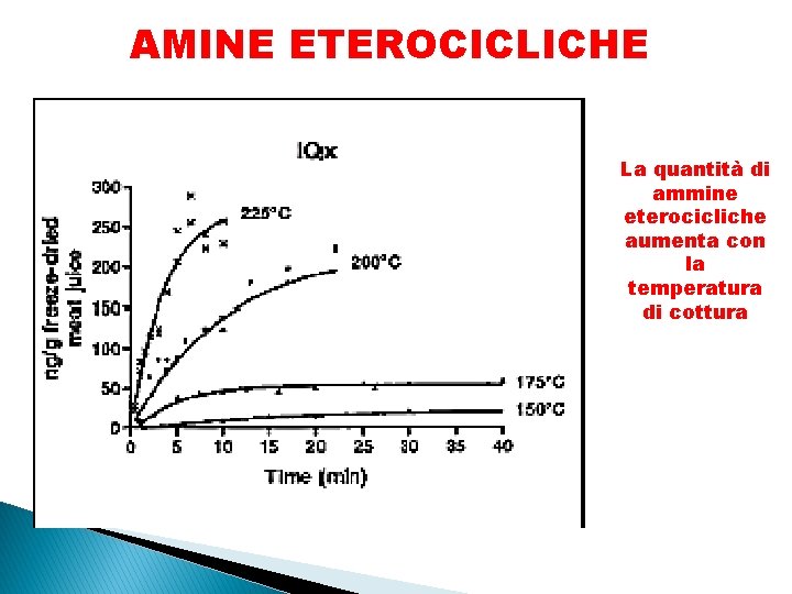 AMINE ETEROCICLICHE La quantità di ammine eterocicliche aumenta con la temperatura di cottura 