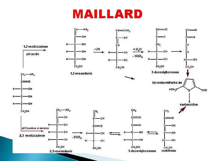 MAILLARD 