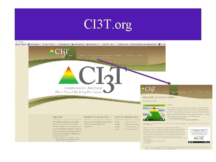 CI 3 T. org 