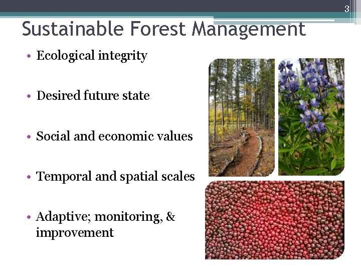 3 Sustainable Forest Management • Ecological integrity • Desired future state • Social and