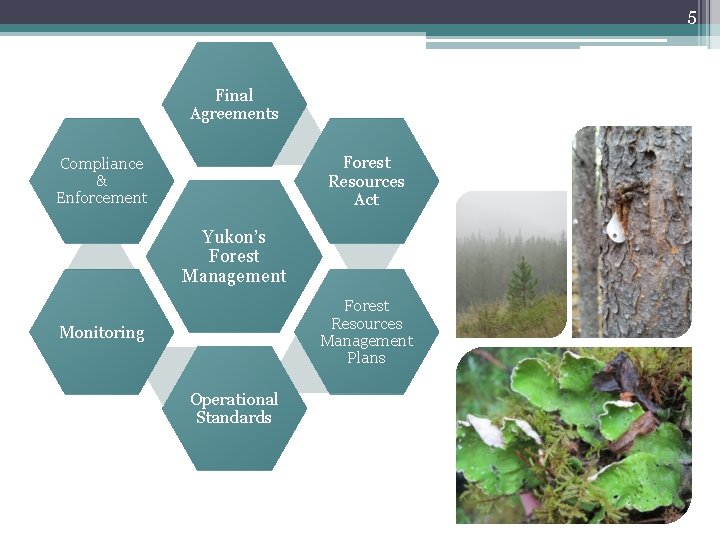 5 Final Agreements Forest Resources Act Compliance & Enforcement Yukon’s Forest Management Forest Resources