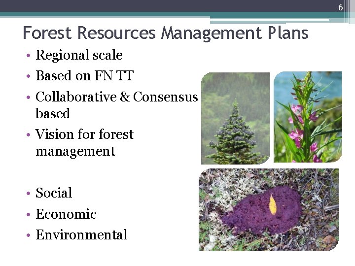 6 Forest Resources Management Plans • Regional scale • Based on FN TT •
