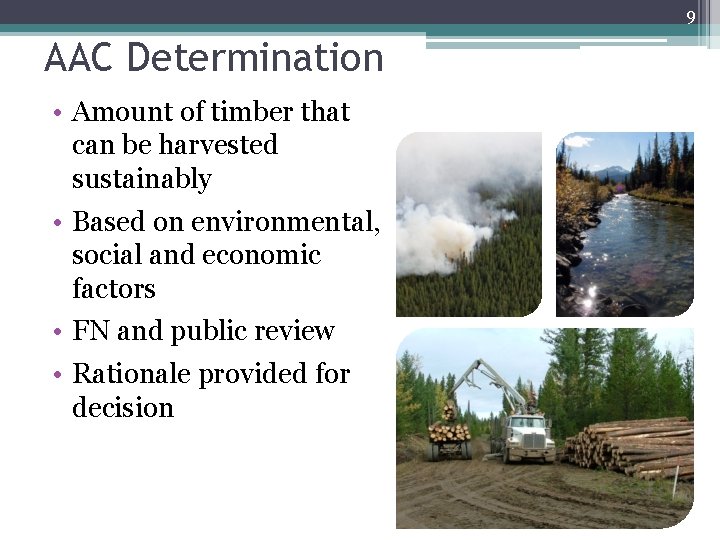 9 AAC Determination • Amount of timber that can be harvested sustainably • Based