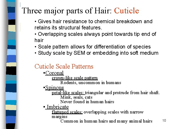 Three major parts of Hair: Cuticle • Gives hair resistance to chemical breakdown and