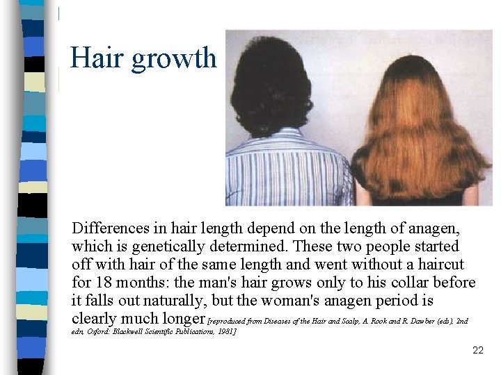Hair growth Differences in hair length depend on the length of anagen, which is