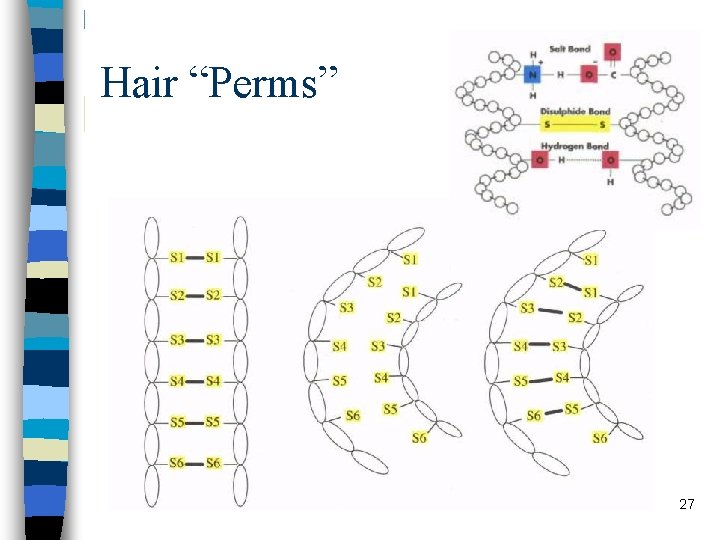 Hair “Perms” 27 