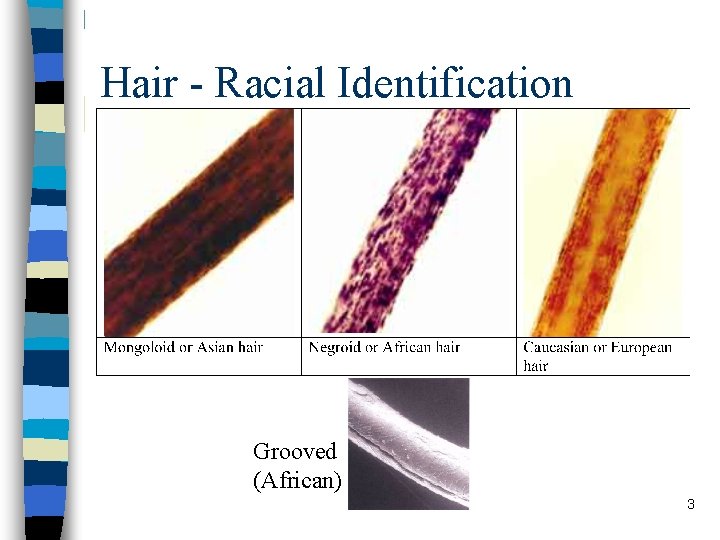 Hair - Racial Identification Grooved (African) 3 