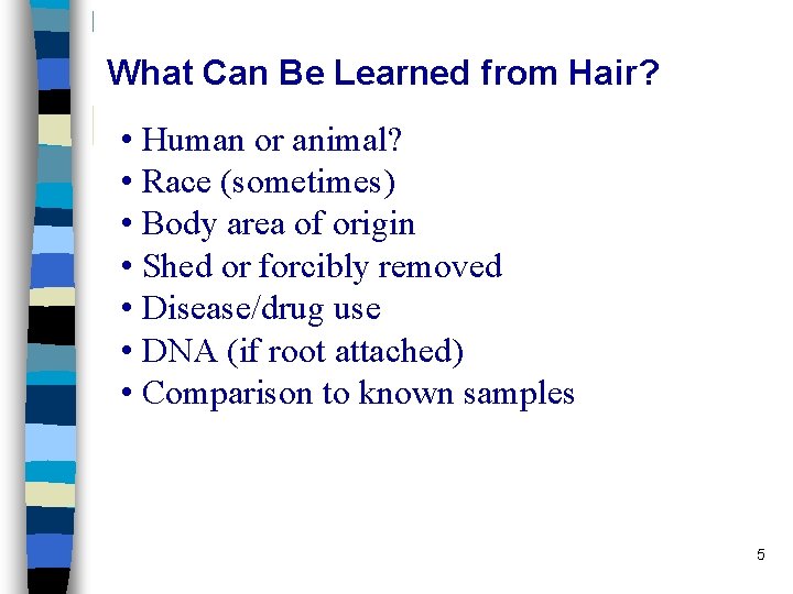 What Can Be Learned from Hair? • Human or animal? • Race (sometimes) •