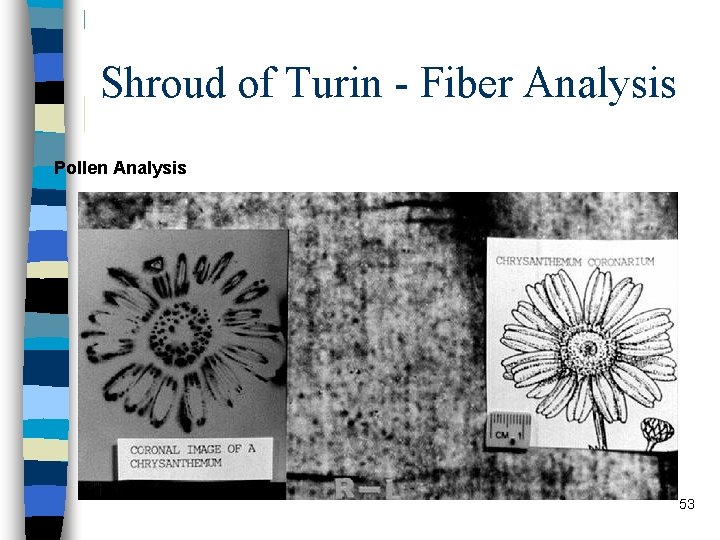 Shroud of Turin - Fiber Analysis Pollen Analysis 53 