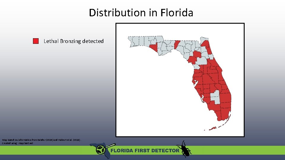 Distribution in Florida Lethal Bronzing detected Map based on information from Bahder (2019) and