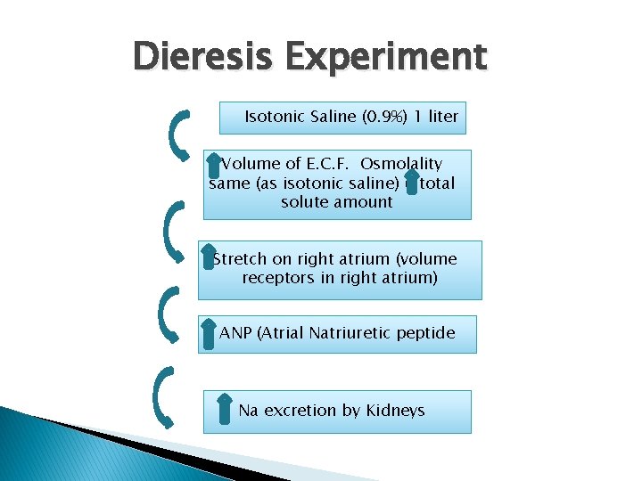 Dieresis Experiment Isotonic Saline (0. 9%) 1 liter Volume of E. C. F. Osmolality