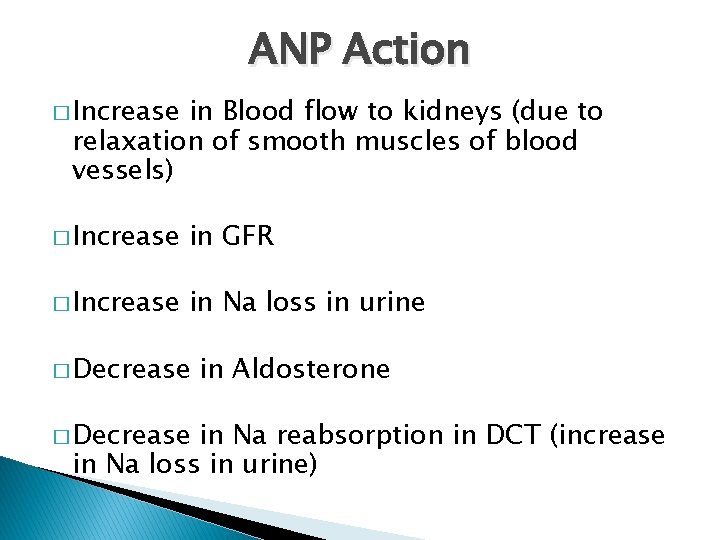 ANP Action � Increase in Blood flow to kidneys (due to relaxation of smooth