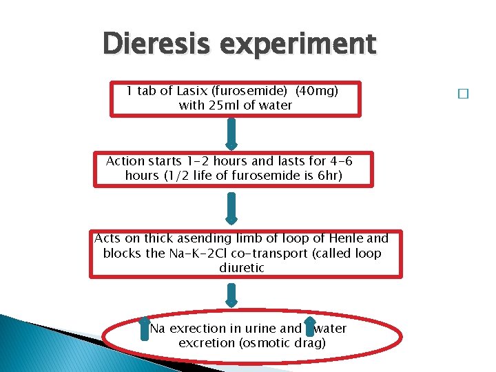 Dieresis experiment 1 tab of Lasix (furosemide) (40 mg) with 25 ml of water