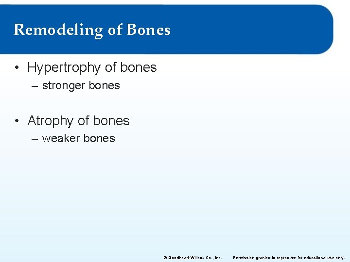 Remodeling of Bones • Hypertrophy of bones – stronger bones • Atrophy of bones Remodeling of Bones • Hypertrophy of bones – stronger bones • Atrophy of bones
