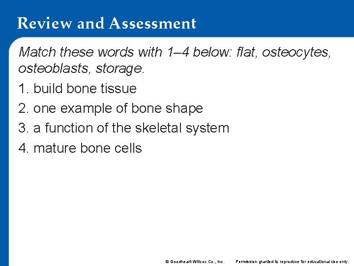 Review and Assessment Match these words with 1– 4 below: flat, osteocytes, osteoblasts, storage. Review and Assessment Match these words with 1– 4 below: flat, osteocytes, osteoblasts, storage.