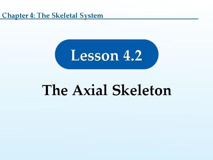 Chapter 4: The Skeletal System Lesson 4. 2 The Axial Skeleton  Chapter 4: The Skeletal System Lesson 4. 2 The Axial Skeleton