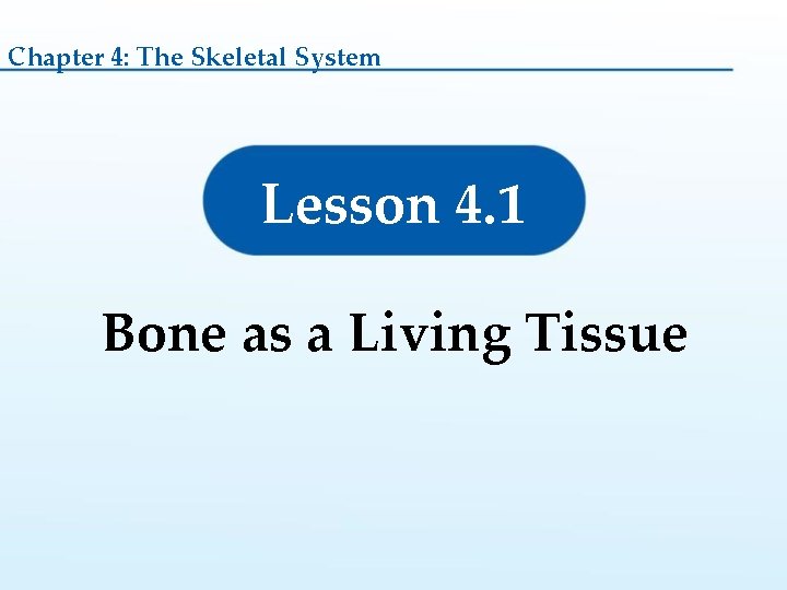 Chapter 4: The Skeletal System Lesson 4. 1 Bone as a Living Tissue  Chapter 4: The Skeletal System Lesson 4. 1 Bone as a Living Tissue